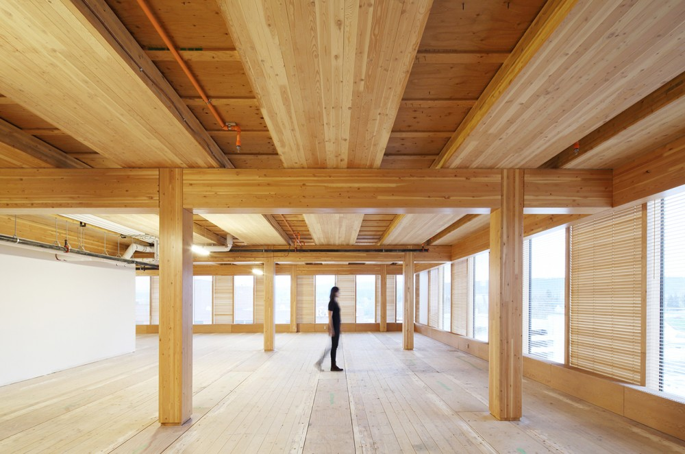 Timber in Construction: A New Horizon?