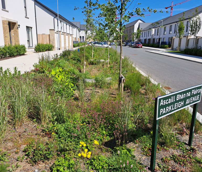 Rain garden with diverse planting and young trees in the central verge of a residential street at Parkleigh Avenue, with white terraced houses on both sides.