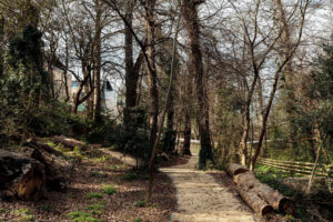Woodland Glencairn