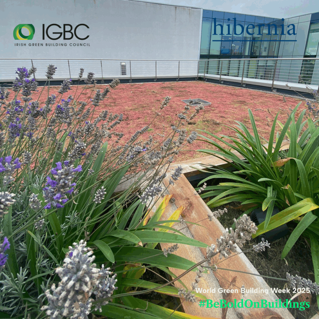 WGBW Hibernia