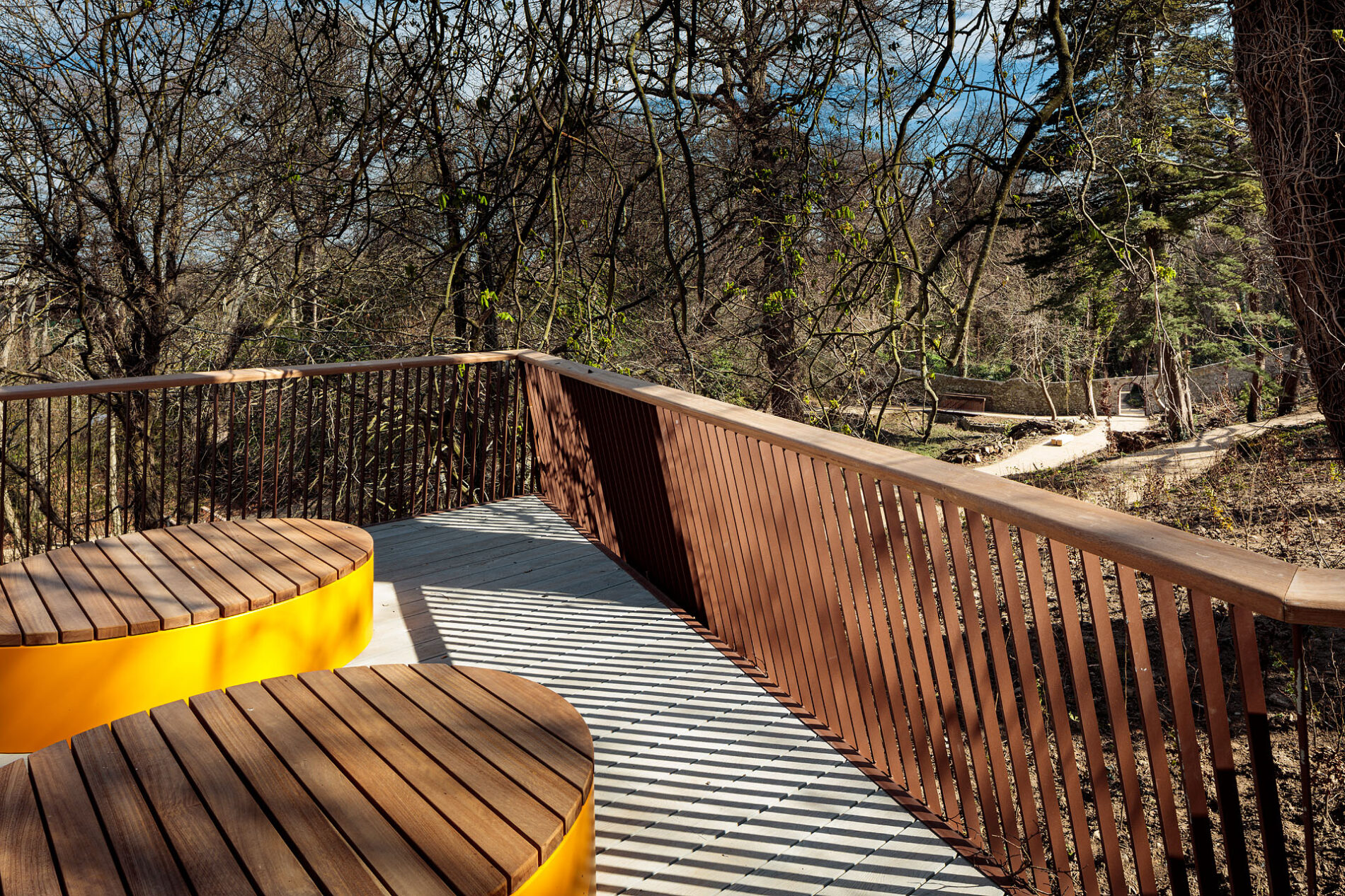 Woodland with timber seats